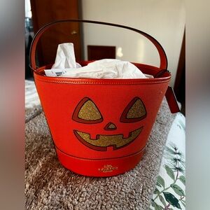 NWT Coach Halloween Pumpkin Trick Or Treat Bucket Purse